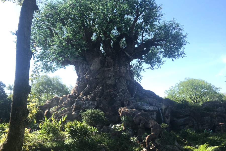 A Magical Adventure: Our Walt Disney World Trip